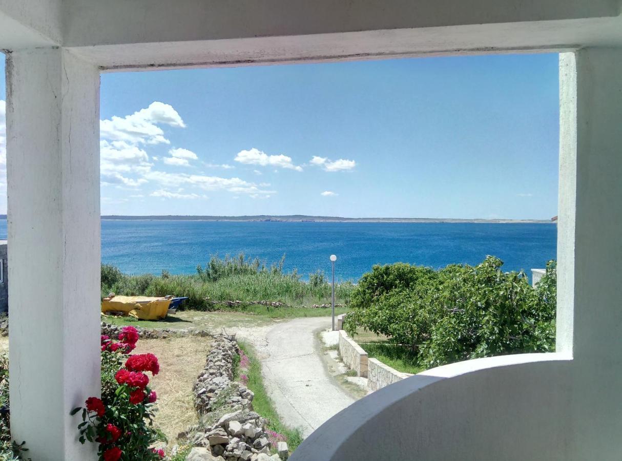 Apartments Galeb ルティナ エクステリア 写真