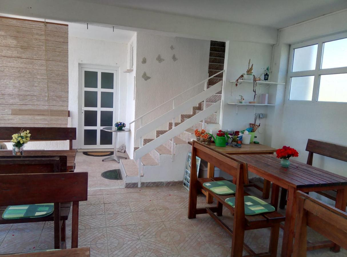 Apartments Galeb ルティナ エクステリア 写真